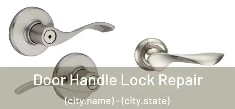 Door Handle Lock Repair (city.name) - (city.state)
